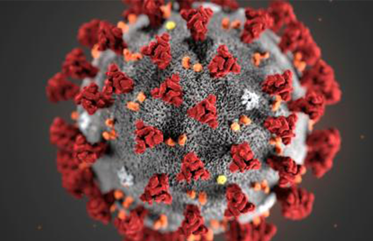 Koronavirus – Pomáháme v boji s nákazou